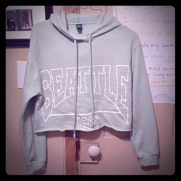 NWOT Seattle 1992 crop top hoodie 💦 - Picture 1 of 5